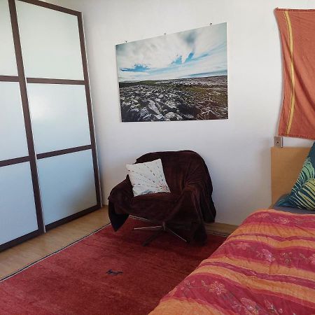 Gemutliche Und Helle Wohnung - Nahe Schlossberg グラーツ エクステリア 写真