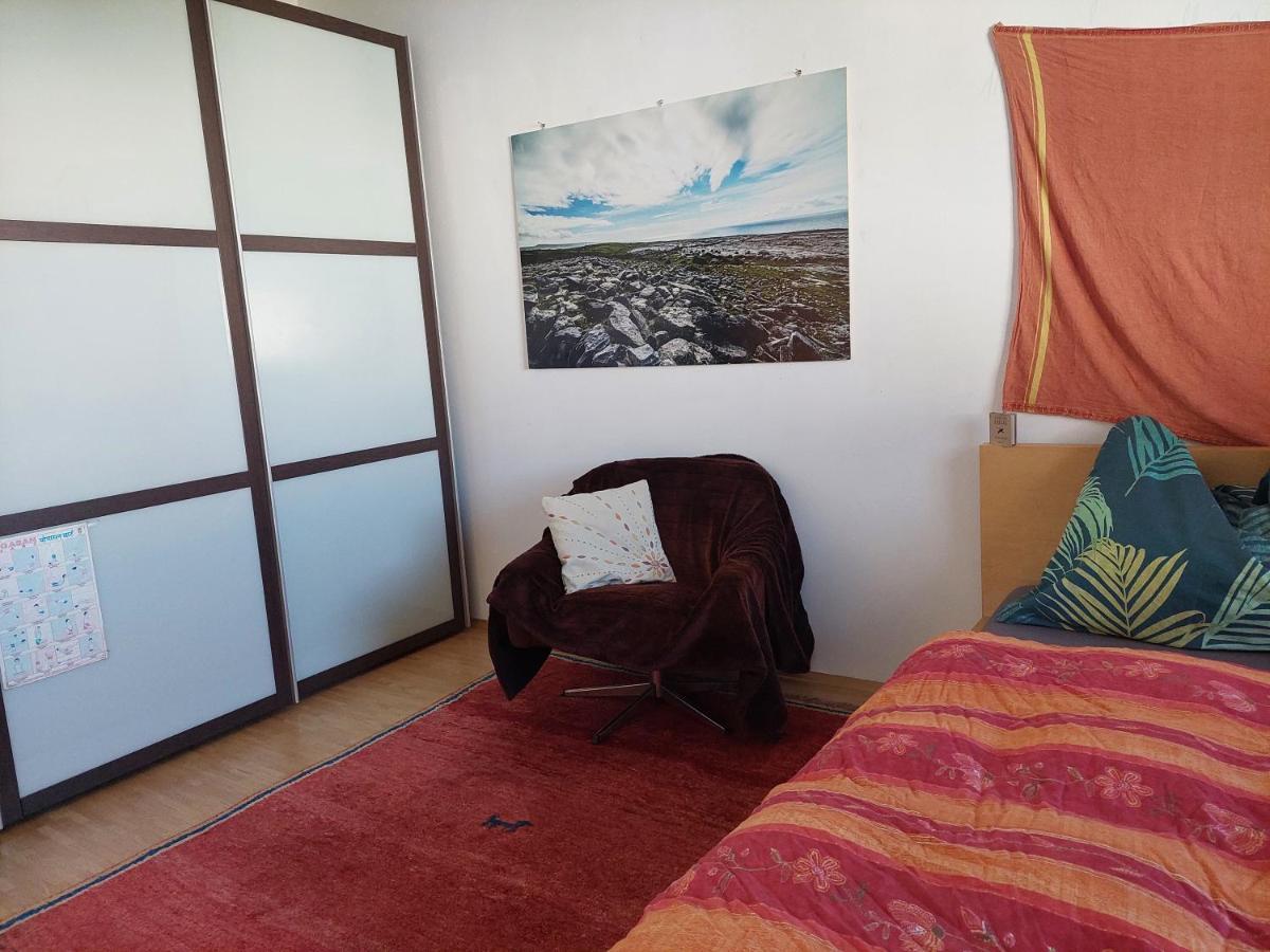 Gemutliche Und Helle Wohnung - Nahe Schlossberg グラーツ エクステリア 写真