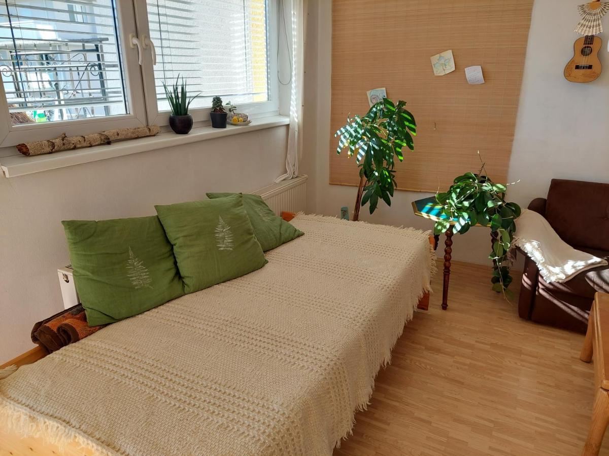 Gemutliche Und Helle Wohnung - Nahe Schlossberg グラーツ エクステリア 写真