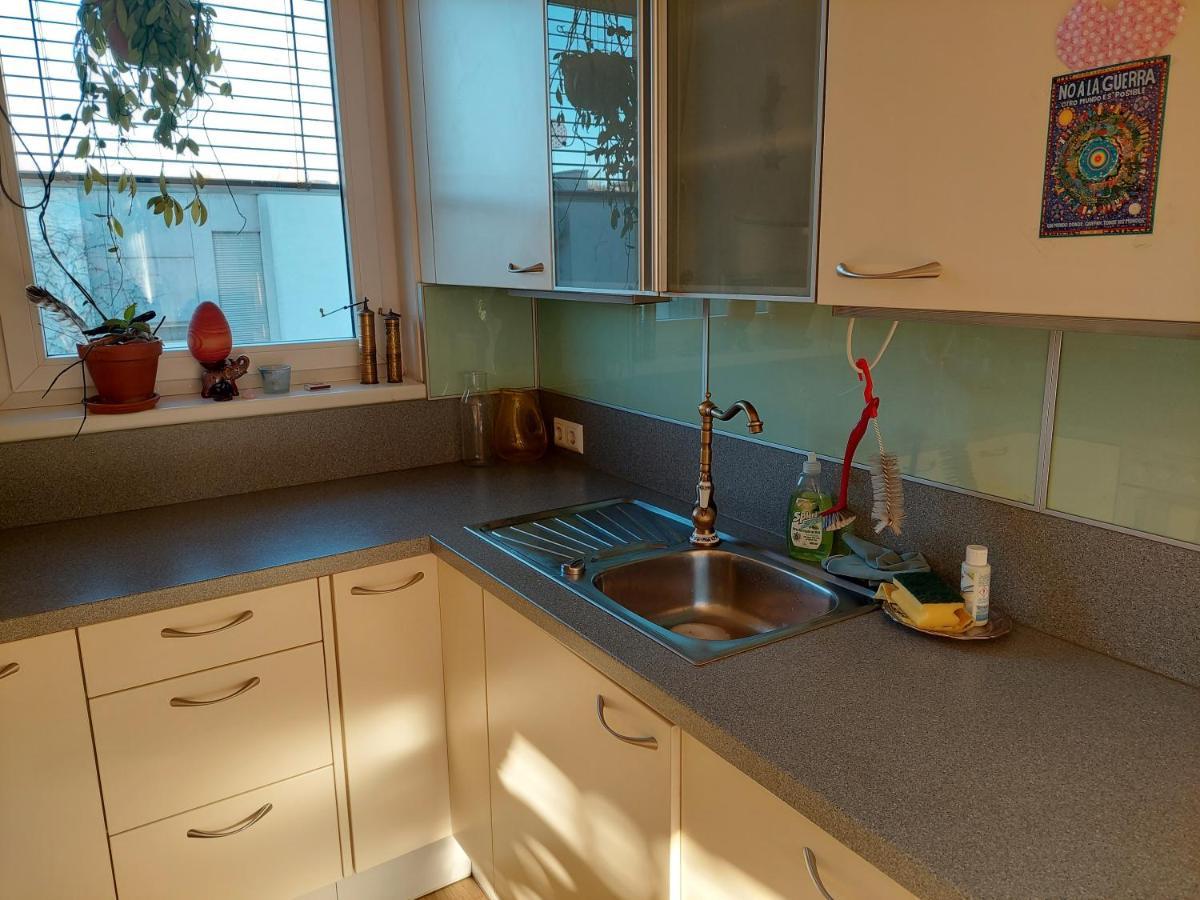 Gemutliche Und Helle Wohnung - Nahe Schlossberg グラーツ エクステリア 写真