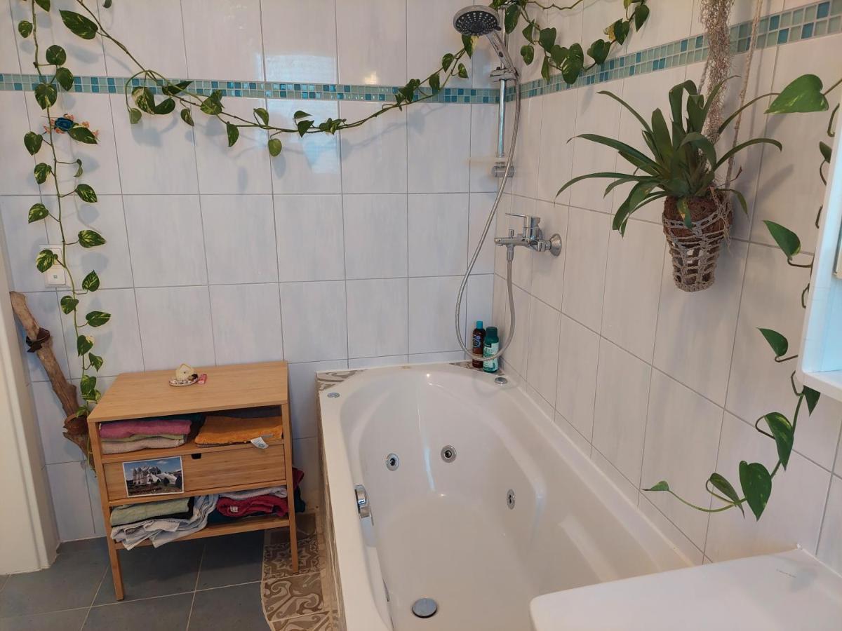 Gemutliche Und Helle Wohnung - Nahe Schlossberg グラーツ エクステリア 写真