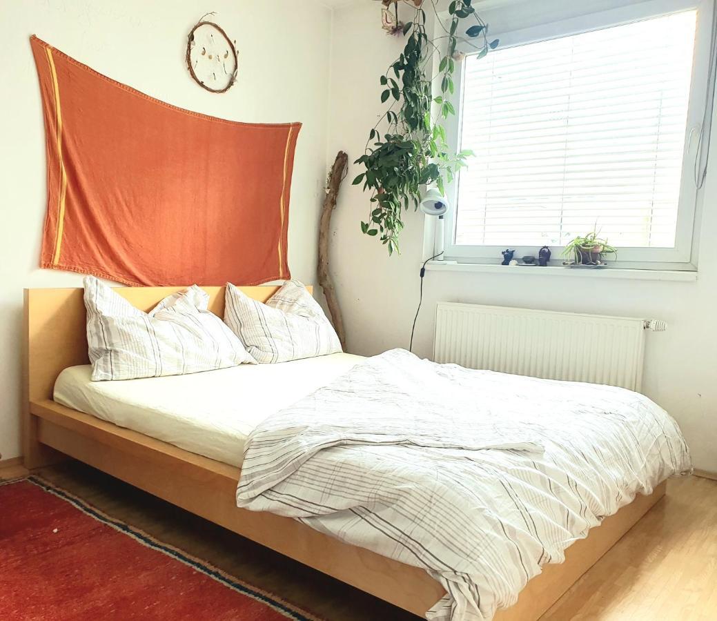 Gemutliche Und Helle Wohnung - Nahe Schlossberg グラーツ エクステリア 写真